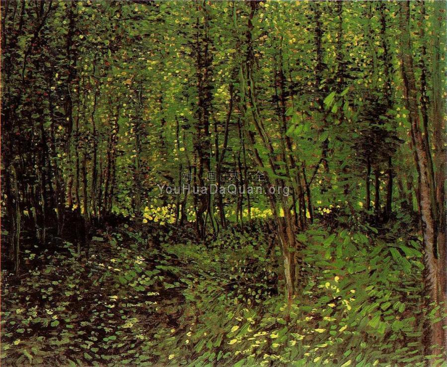 树木和灌木丛 - 文森特·威廉·梵高